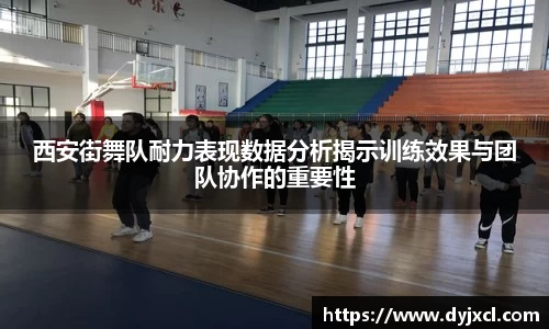 3377体育