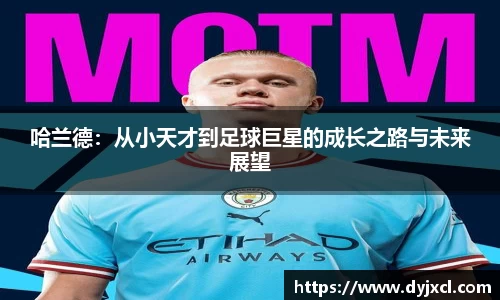 3377体育